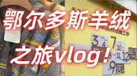 🎥Vlog｜探秘鄂尔多斯羊绒王国！我被羊绒包围啦！鄂尔多斯羊绒之旅vlog！
