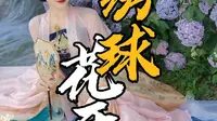龙虎山排衙峰下，绣球花开