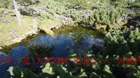 06石塘林