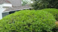 南昌八大山人纪念馆一日游，真有意思