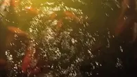 崇左市江州区太平古城
