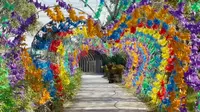 上海张马景区：乡村有规划，环境美如画（上）