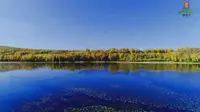 京津冀后花园-承德御道口草原森林风景区