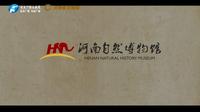 【 2024】河南自然博物馆（河南 ·郑州 ）【云游直播回放】-溜达搬运