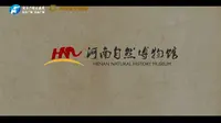 【 2024】河南自然博物馆（河南 ·郑州 ）【云游直播回放】-溜达搬运