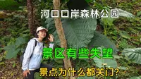 云南河口口岸森林公园，本地人推荐，逛完有些失望，景点竟都关门