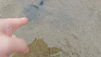 赶海初体验/广西北海/金滩