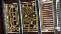 山西晋城 高平市定林寺