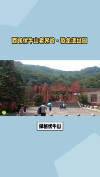 探秘南阳：伏牛山下的恐龙传奇