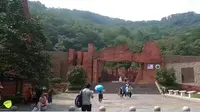探秘南阳：伏牛山下的恐龙传奇