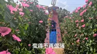 安岳悦缘花谷欢迎您