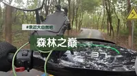 仪征龙山森林公园沉浸式骑行风景，扬州居然也有这样的山水