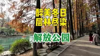 100次路过，今天第1次走进解放公园