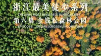 浙江最美徒步系列第六集-安吉金钱松森林公园