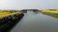今天up主本人去了我的老家（泰州兴化）的千垛景区，认为不虚此行。