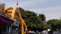 千禧核-南宁金花茶公园(
