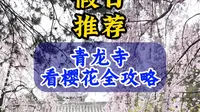 周末好去处，西安青龙寺假日看樱花全攻略