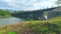 鹰潭龙虎山九曲洲