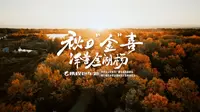 来泽普金湖杨邂逅秋日“金”喜