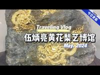 🇨🇳伍炳亮黄花梨艺博馆鉴赏游记