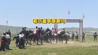 第一次看草原赛马，太有意思了！自驾若尔盖