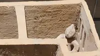 南充市博物馆
