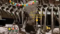 【自动水系列】中国古动物馆保定自然博物馆（古生物展区1）