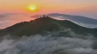 宜兴竹海欢迎您#宜兴 #无锡 #竹海风景区宜兴