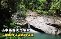 广州市白江湖森林公园，山水画卷天然氧吧，最适宜都市人修心养性
