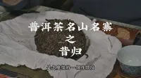 普洱茶名山名寨之昔归茶