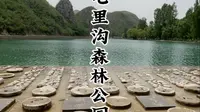鹤壁七里沟森林公园