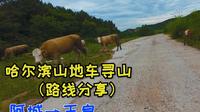 哈尔滨山地车寻山（路线分享）阿城--玉泉