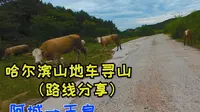 哈尔滨山地车寻山（路线分享）阿城--玉泉