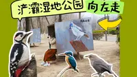 我是来到了西安的啄木鸟公园吗？浐灞湿地公园观鸟向左走！