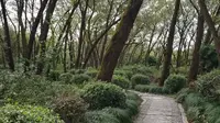 合肥市庐江县汤池镇，金孔雀温泉旅游度假村内的相思林景区