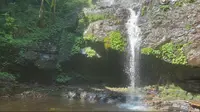 大桂山国家森林公园