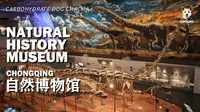 【英语微纪录片】重庆自然博物馆：20 万件标本藏着地球与人类的真相，标本比标语更动人
