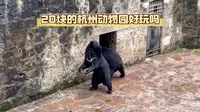 20块门票的杭州动物园好玩吗？