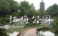 4K 常州红梅公园 | 文笔塔 | 红梅阁 | 常州第一园林 沉浸式游览