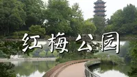 4K 常州红梅公园 | 文笔塔 | 红梅阁 | 常州第一园林 沉浸式游览