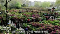 石家庄植物园主要景点