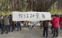 【岛屿青年日常】探访相亲角 “厦门中山公园”揭秘相亲角不可言说的“秘密”哈哈哈