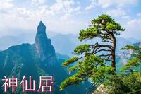 【浙江·台州神仙居】最新浙江台州神仙居导游词面试讲解