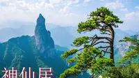 【浙江·台州神仙居】最新浙江台州神仙居导游词面试讲解