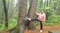 2024年夏季东三省游记之上甘岭溪水公园