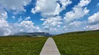 垣曲历山舜王坪 | 云中草原 山峦奇秀 林木葱郁 人在花中 云在脚下 天上人间