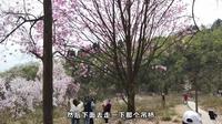 四川绵阳市北川羌族自治县药王谷，这个小姐姐过吊桥时吓的蹲起了