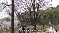 四川绵阳市北川羌族自治县药王谷，这个小姐姐过吊桥时吓的蹲起了