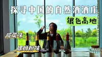 【宁夏酒庄之旅】网红自然酒吧的宠儿|银色高地酒庄|中国第一家生物动力法|宁夏酒庄游l自然酒 l