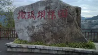 2026红河撒玛坝梯田